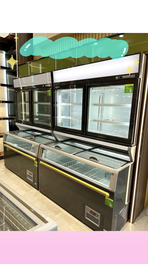 商用冷柜 冷藏冷冻一体子母柜,经济实惠,颜值高,节省空间 适用于超市,生鲜店 综合商场展示销售各类冷藏冷冻食品 子母柜