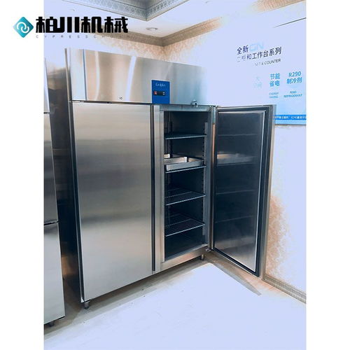 广州柏川立式冷藏冷冻柜 GN1410TN 商用冰柜